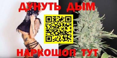 гашик Бийск