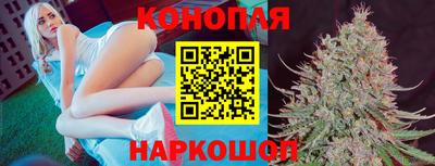 гашик Бийск