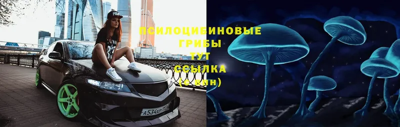 купить наркоту  площадка состав  Галлюциногенные грибы Cubensis  Кириши  ссылка на мегу как войти 