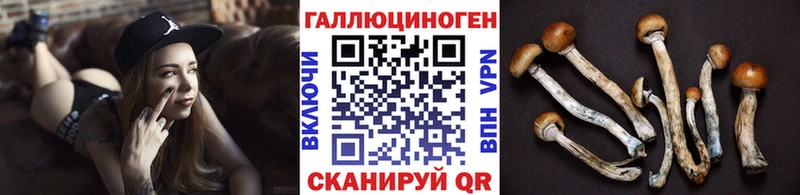 Галлюциногенные грибы Cubensis  дарк нет наркотические препараты  Кириши  мега вход 