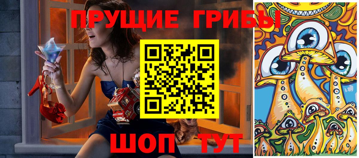 Кириши  Псилоцибиновые грибы мицелий  Галлюциногенные грибы ЛСД  Вход с VPN 